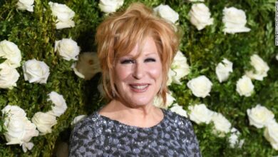 Photo of Bette Midler apologizes to West Virginia residents for ‘poor, illiterate, strung out’ tweet