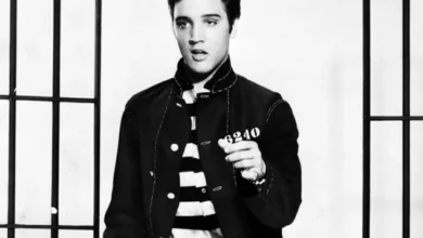Photo of Elvis Presley biographer provides a new theory on star’s death