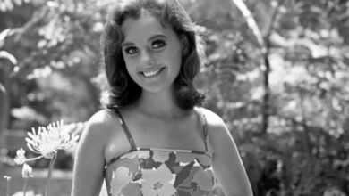 Photo of ‘Gilligan’s Island’: Dawn Wells Revealed She Asked Robin Williams About ‘Ginger or Mary Ann’