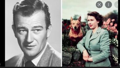 Photo of John Wayne ‘asked to move out of Queen’s way’ after guard forgot who Hollywood star was