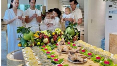 Photo of Hồ Ngọc Hà làm sinh nhật nhỏ trong biệt thự 30 tỷ cho Lisa Leon: “3 tuổi rồi nên không cần hoành tráng”