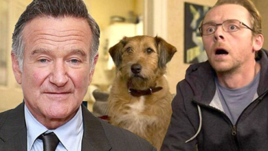 Photo of Robin Williams May Not Have Completed His Voice Role in Absolutely Anything