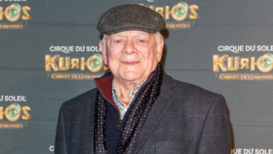 Photo of David Jason Gives Health Update as Only Fools and Horses Convention is Delayed