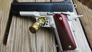 Photo of Kimber Pro Carry II 1911 Review