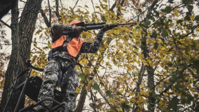 Photo of 5 Great Bolt-Action Rifles for Whitetail Hunting
